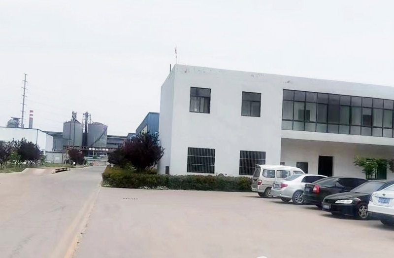 實(shí)力廠區(qū)